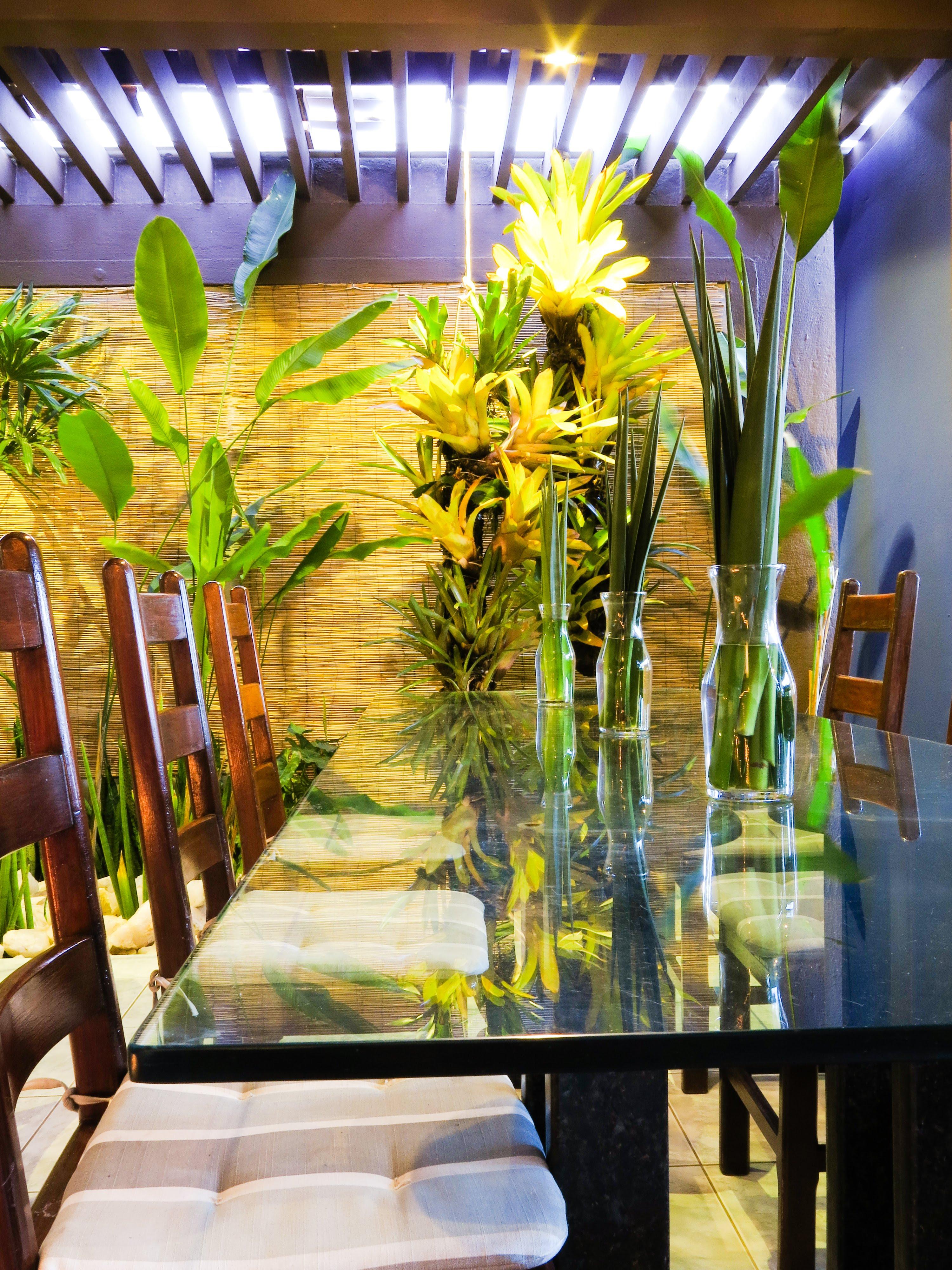 Paradise Inn Natal