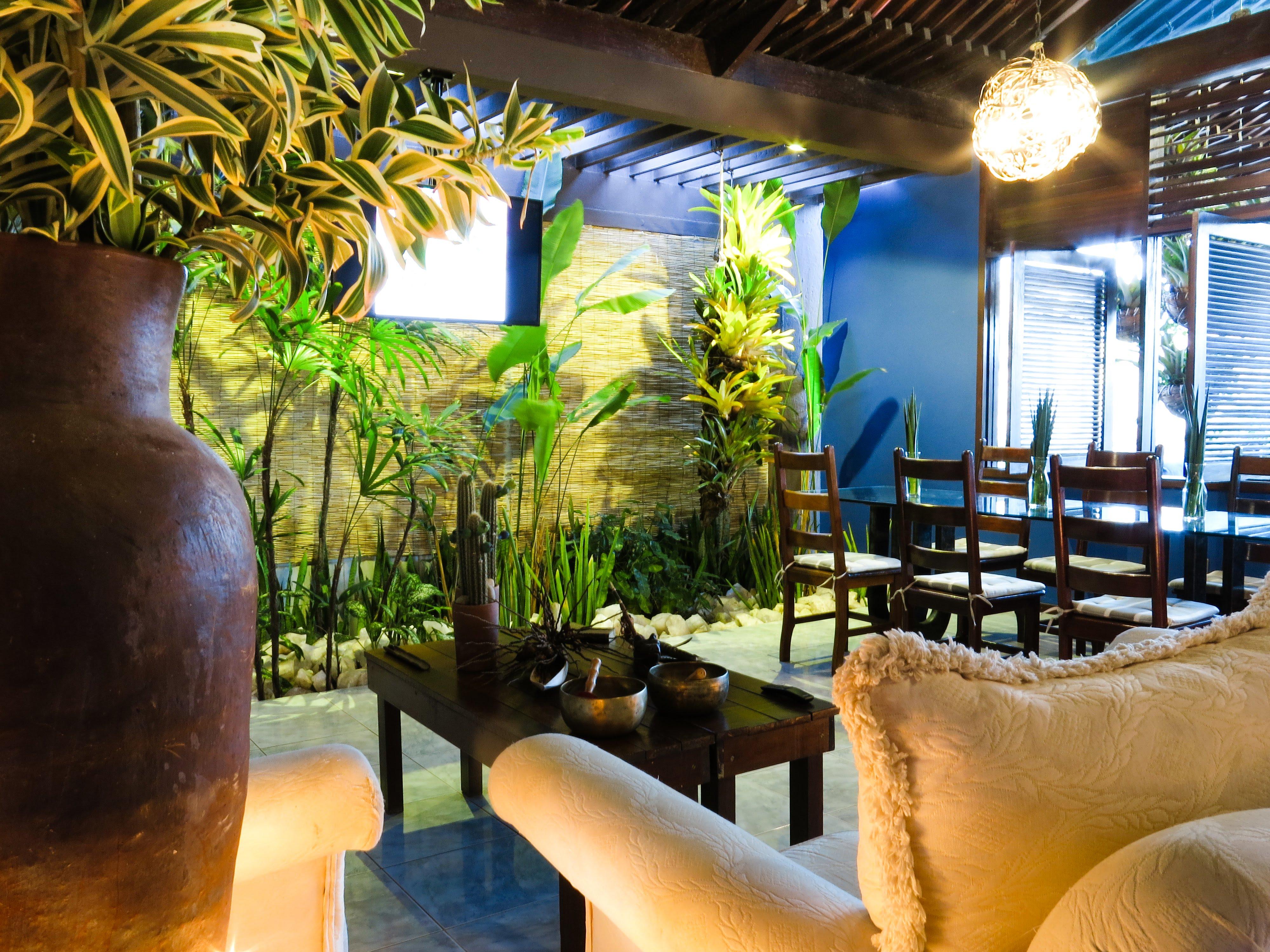 Inn Paradise