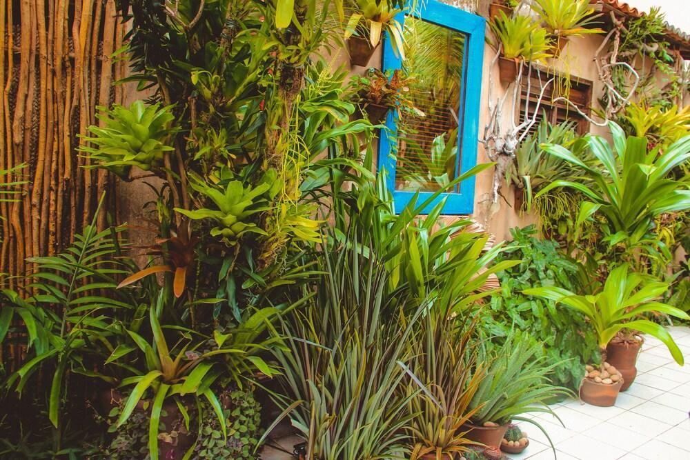 Paradise Inn Natal